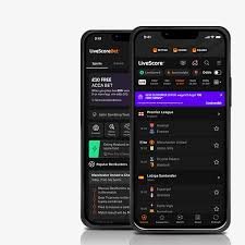 tmreviews-slider-img