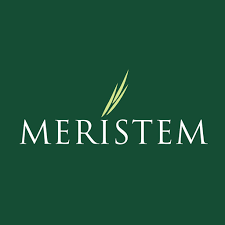 meristem logo