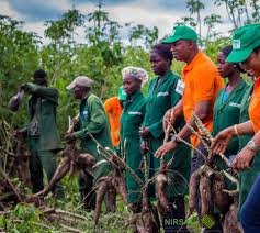 tmreviews-slider-img