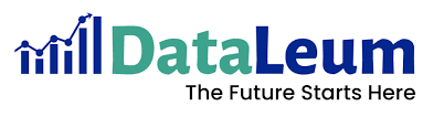 dataleum logo