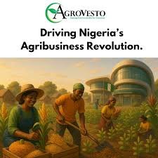 tmreviews-slider-img