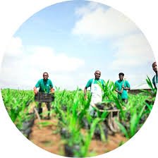 tmreviews-slider-img