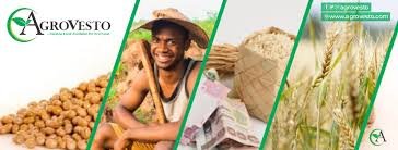 tmreviews-slider-img