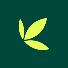 bamboo logo