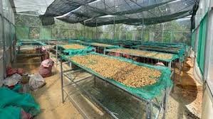 tmreviews-slider-img