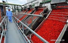 tmreviews-slider-img